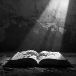 【Midnight Journal】2026年02月03日の櫻坂46｜明日へのマニフェスト