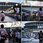 櫻坂46 ライブ 初心者 完全ガイド